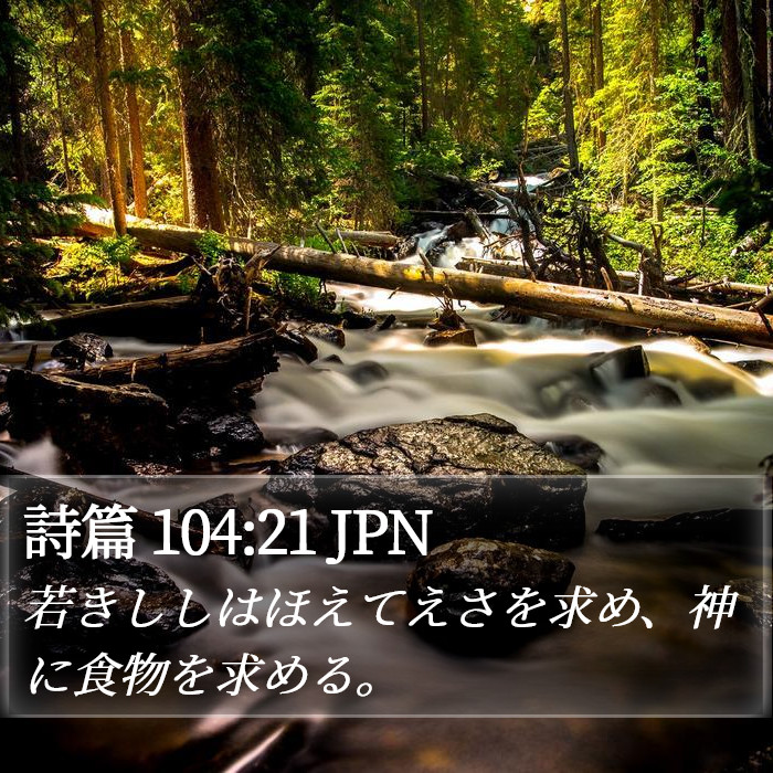 詩篇 104:21 JPN Bible Study