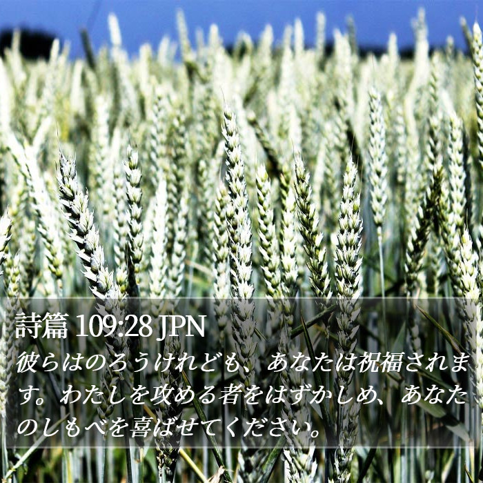 詩篇 109:28 JPN Bible Study