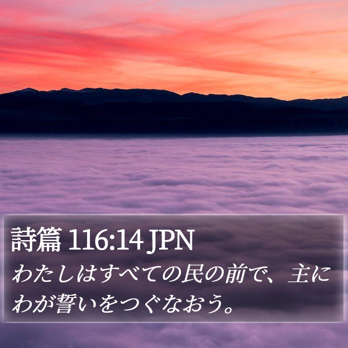 詩篇 116:14 JPN Bible Study