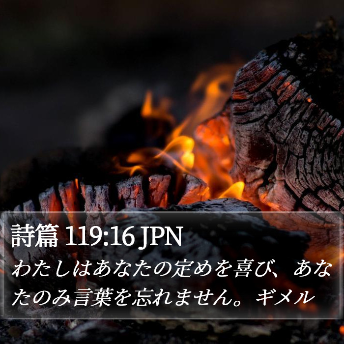 詩篇 119:16 JPN Bible Study