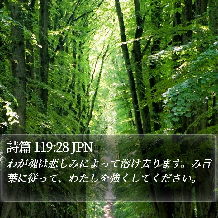 詩篇 119:28 JPN Bible Study