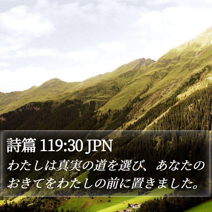 詩篇 119:30 JPN Bible Study