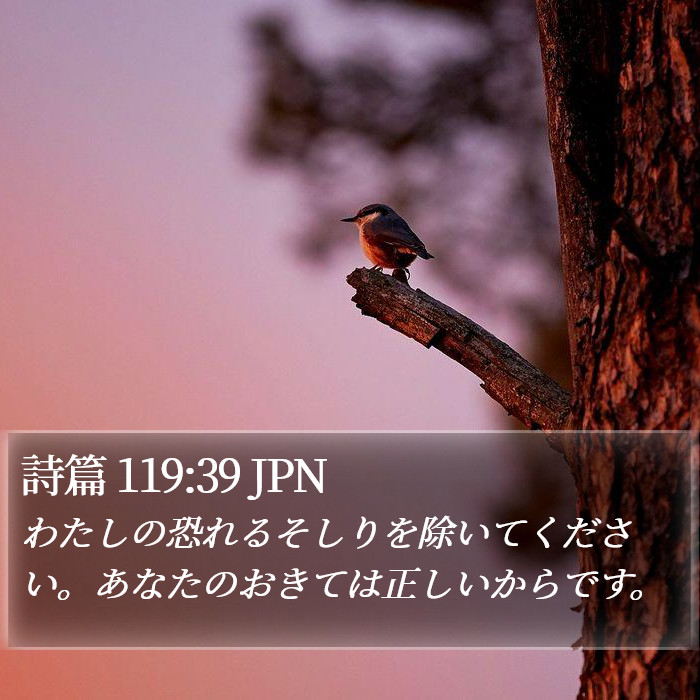 詩篇 119:39 JPN Bible Study