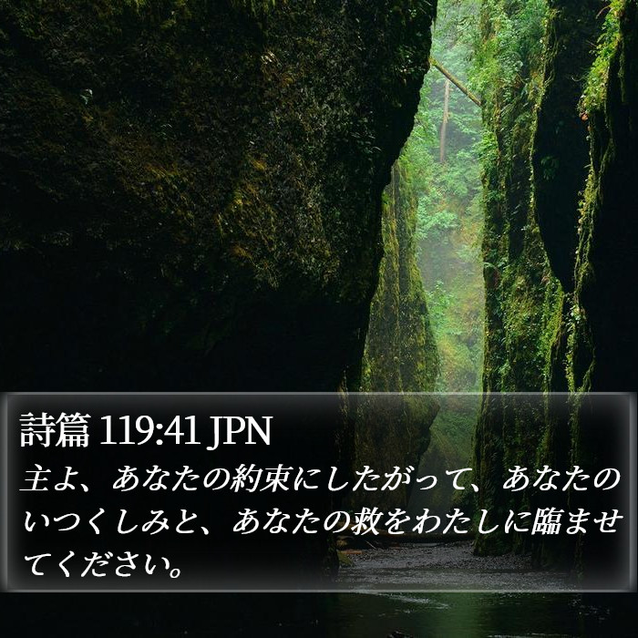 詩篇 119:41 JPN Bible Study