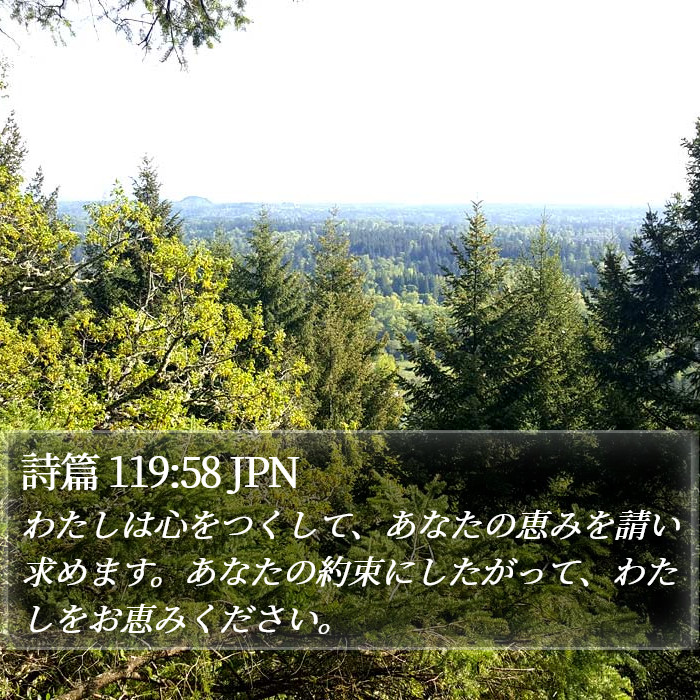 詩篇 119:58 JPN Bible Study