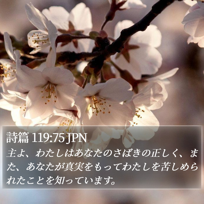 詩篇 119:75 JPN Bible Study