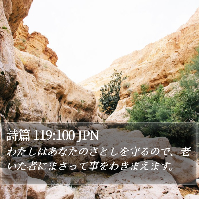 詩篇 119:100 JPN Bible Study