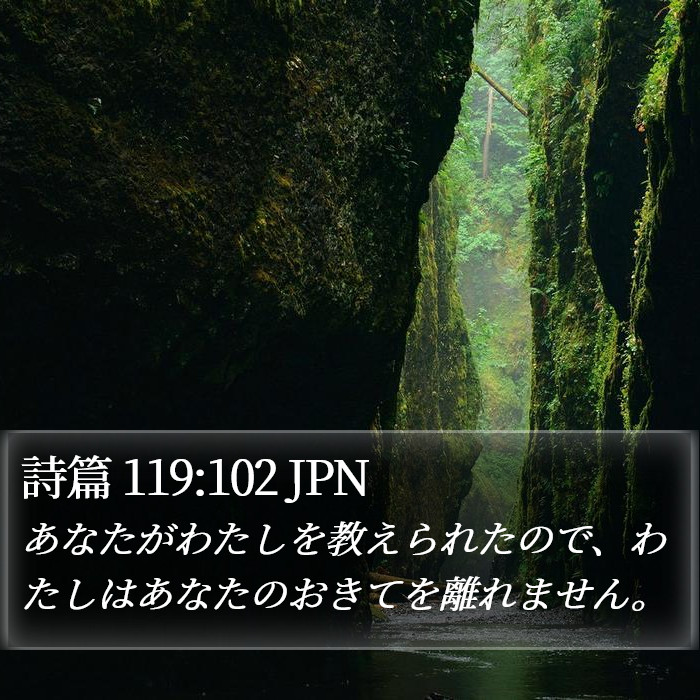 詩篇 119:102 JPN Bible Study