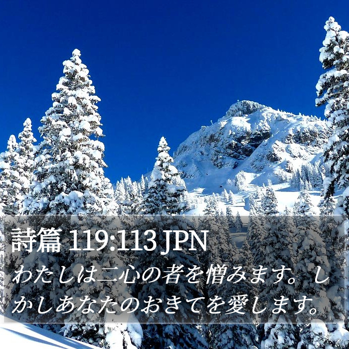 詩篇 119:113 JPN Bible Study