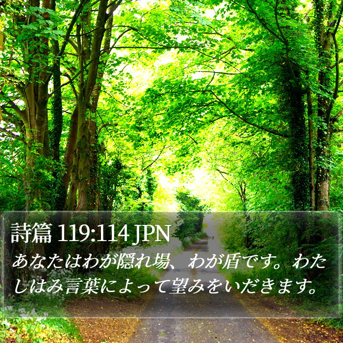 詩篇 119:114 JPN Bible Study