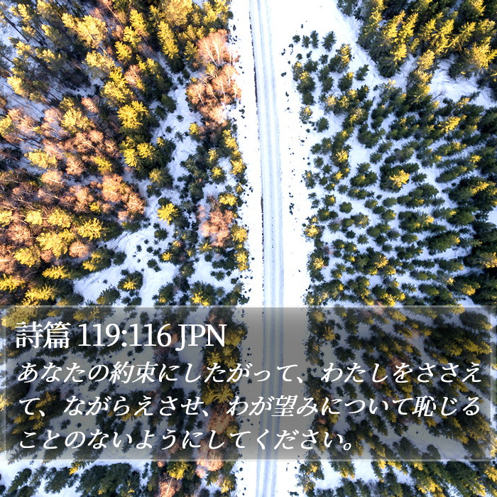 詩篇 119:116 JPN Bible Study