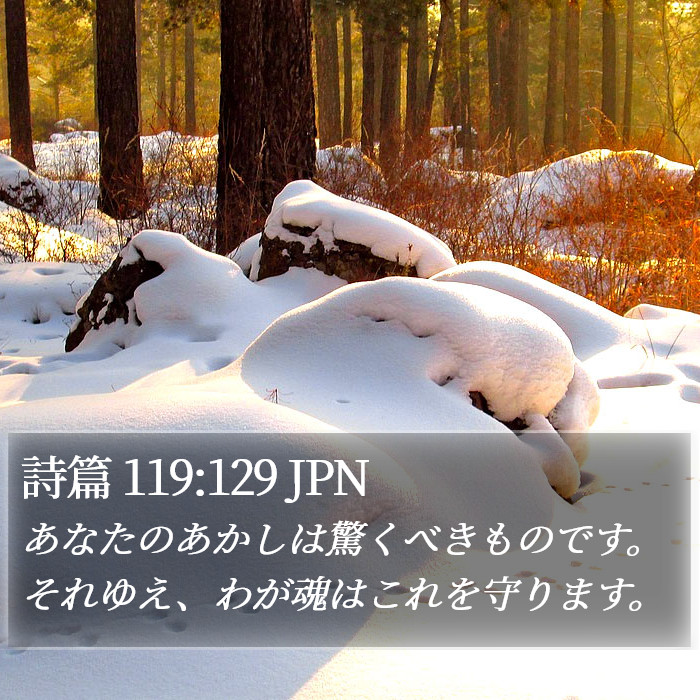 詩篇 119:129 JPN Bible Study