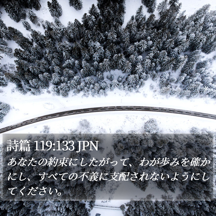 詩篇 119:133 JPN Bible Study