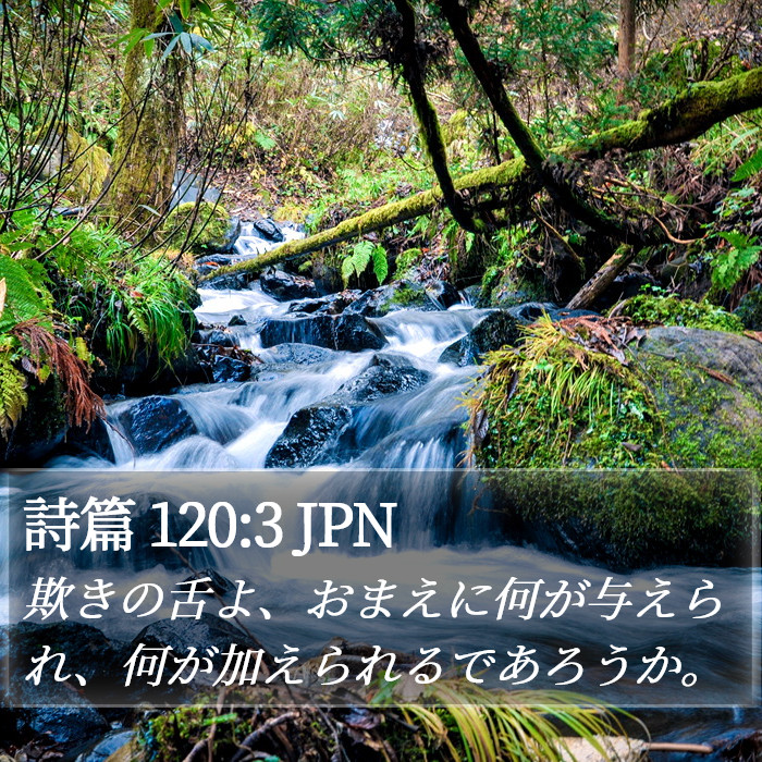 詩篇 120:3 JPN Bible Study