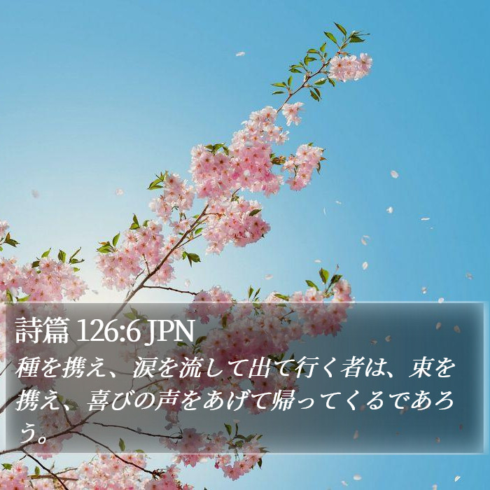 詩篇 126:6 JPN Bible Study