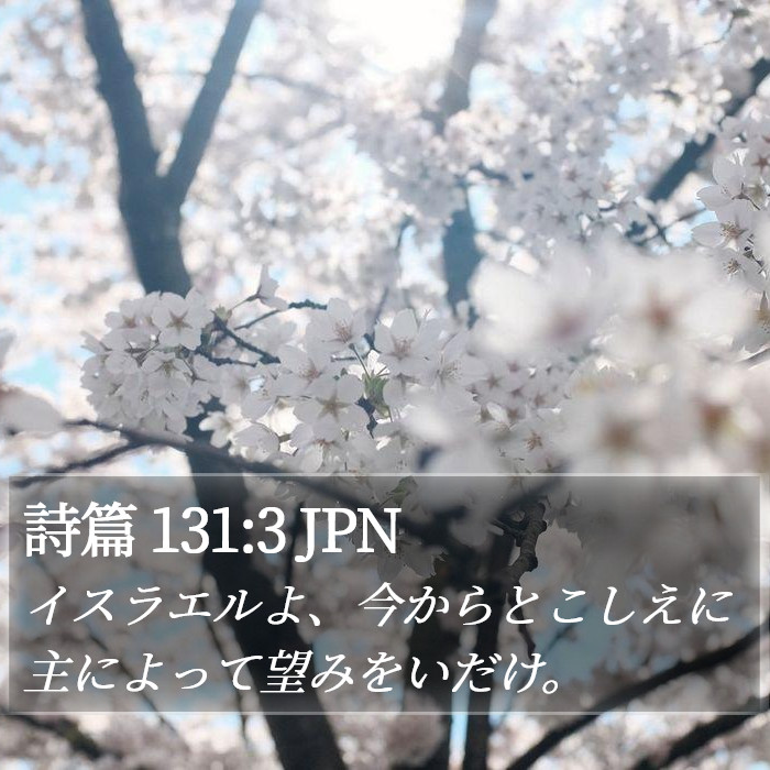 詩篇 131:3 JPN Bible Study