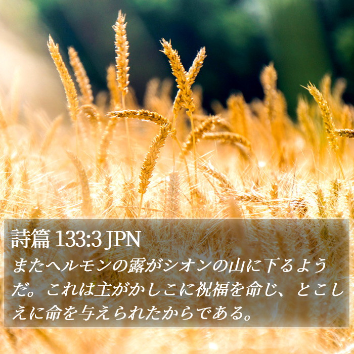 詩篇 133:3 JPN Bible Study