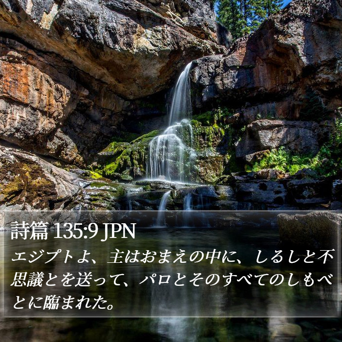 詩篇 135:9 JPN Bible Study