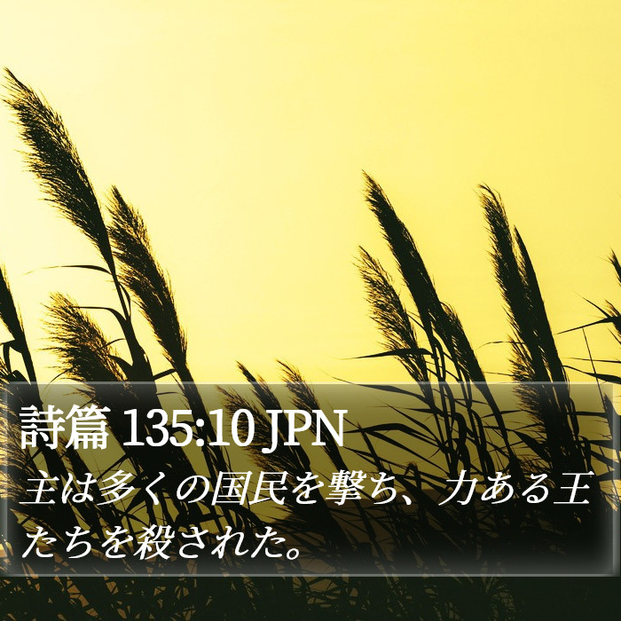 詩篇 135:10 JPN Bible Study