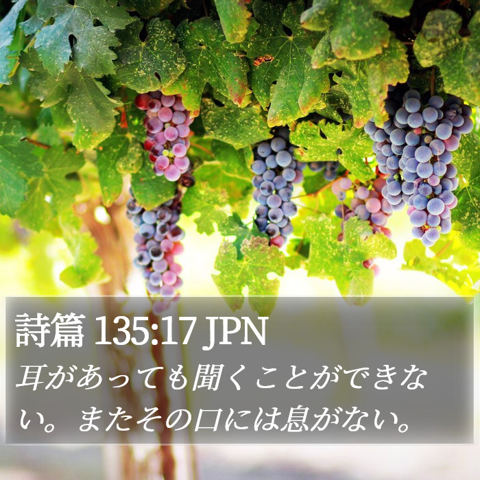 詩篇 135:17 JPN Bible Study