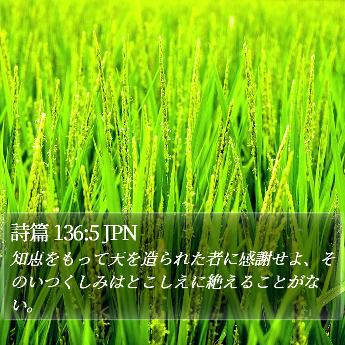 詩篇 136:5 JPN Bible Study
