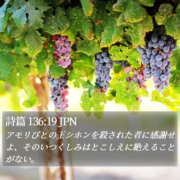 詩篇 136:19 JPN Bible Study