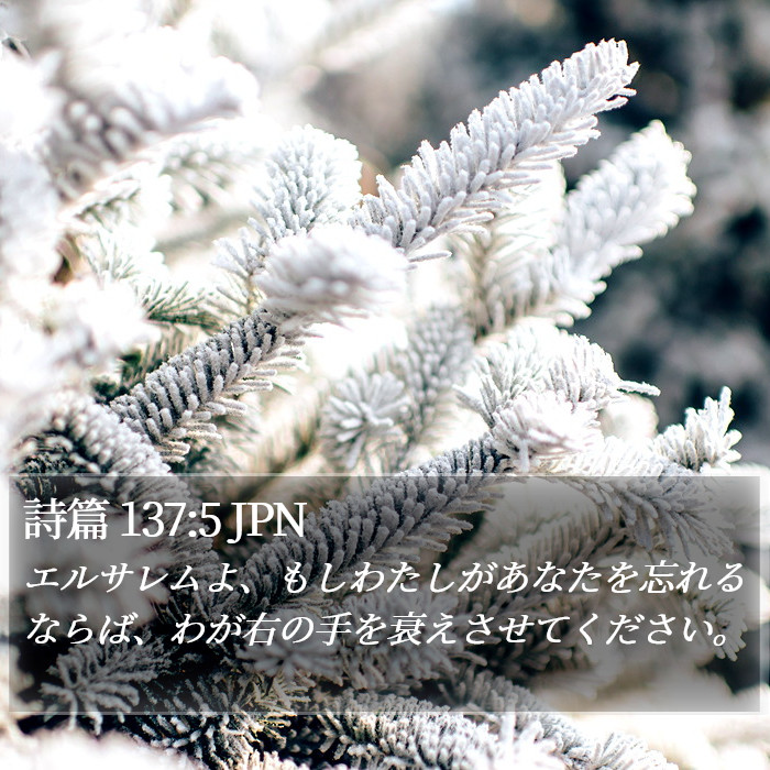 詩篇 137:5 JPN Bible Study