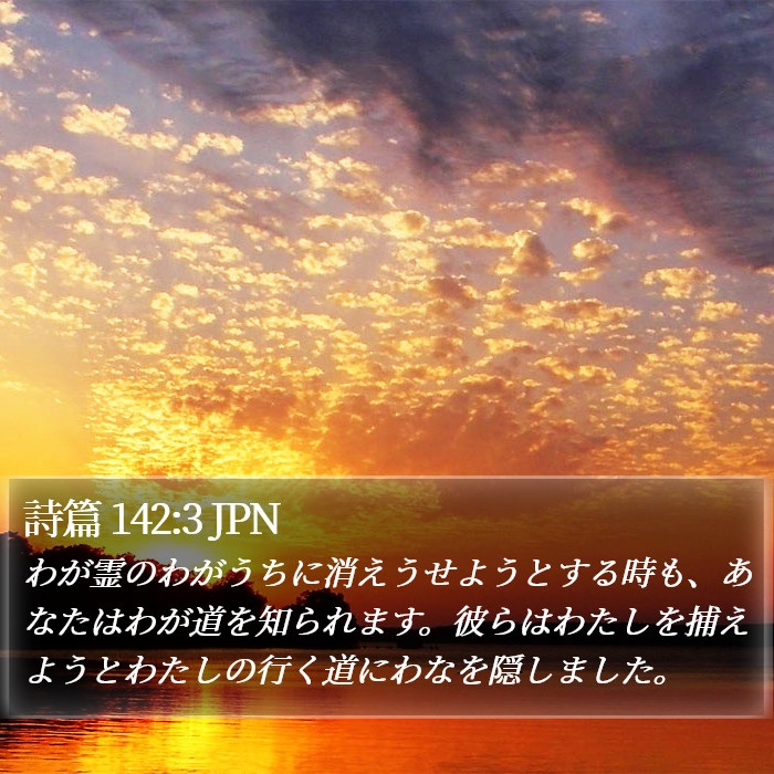 詩篇 142:3 JPN Bible Study