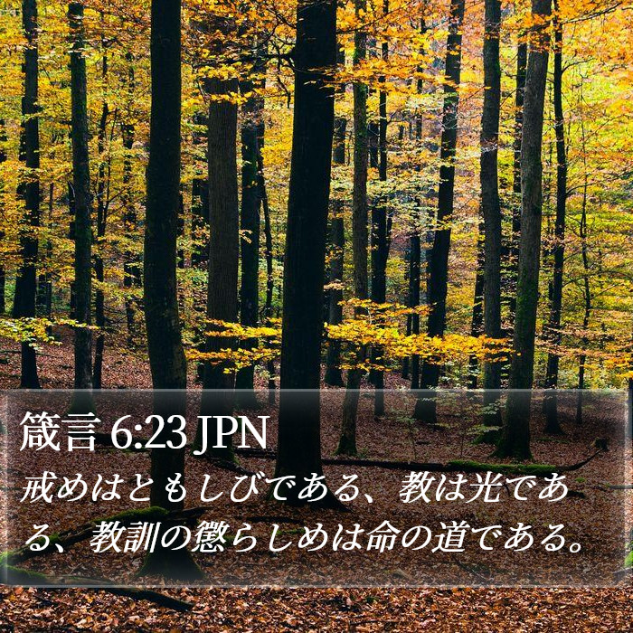 箴言 6:23 JPN Bible Study