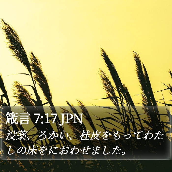 箴言 7:17 JPN Bible Study