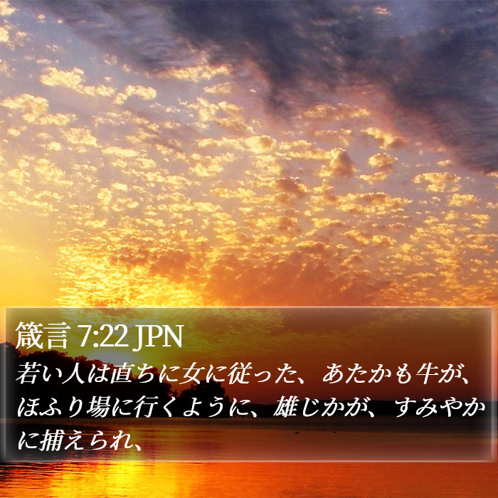 箴言 7:22 JPN Bible Study