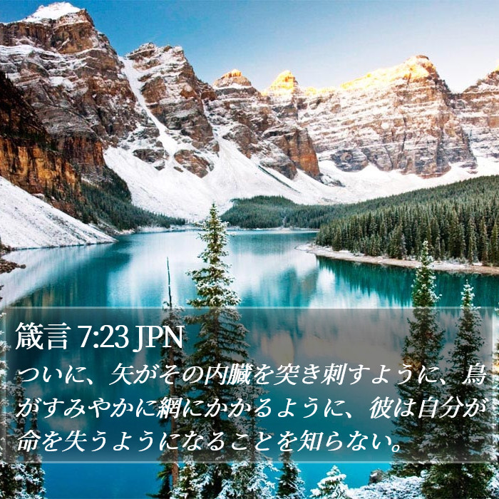 箴言 7:23 JPN Bible Study