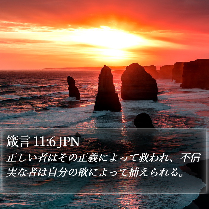 箴言 11:6 JPN Bible Study