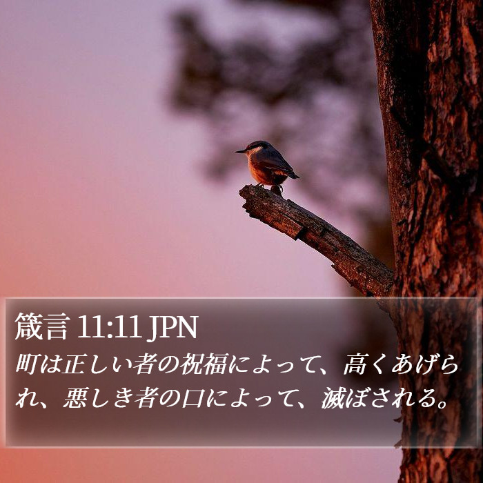 箴言 11:11 JPN Bible Study