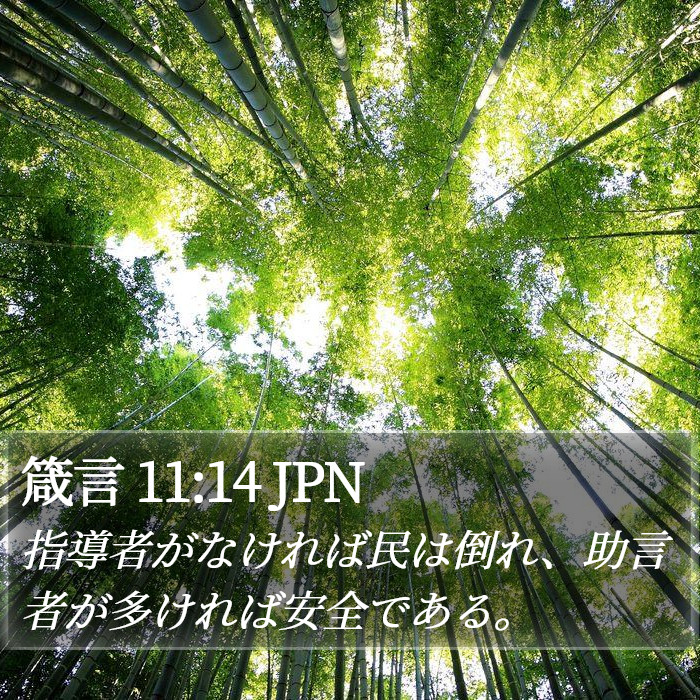 箴言 11:14 JPN Bible Study