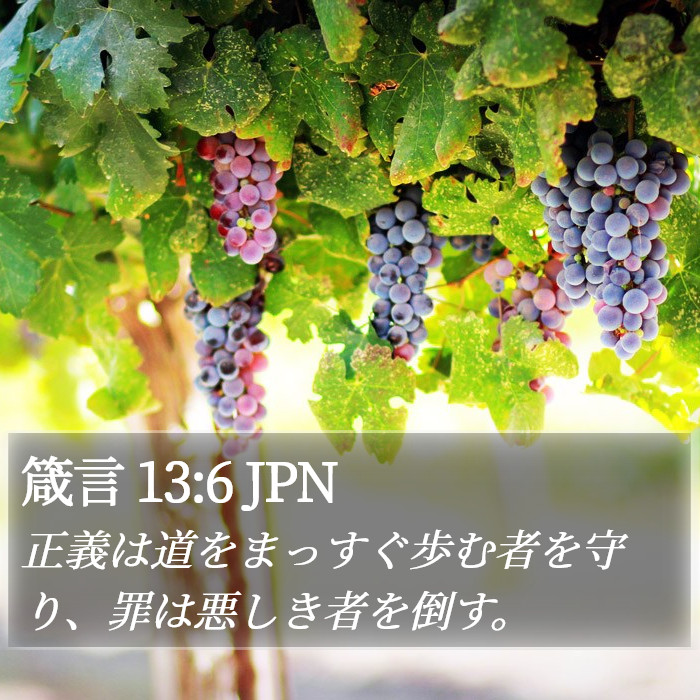箴言 13:6 JPN Bible Study