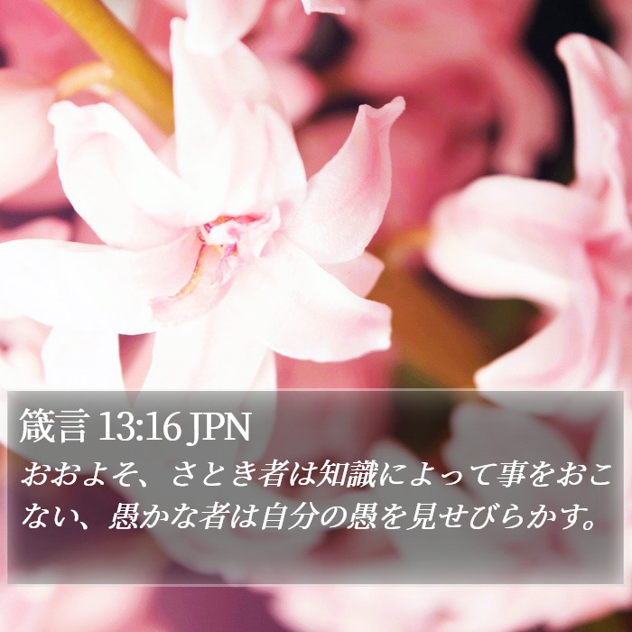 箴言 13:16 JPN Bible Study