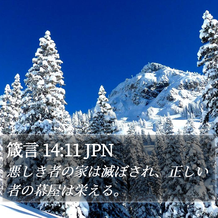 箴言 14:11 JPN Bible Study