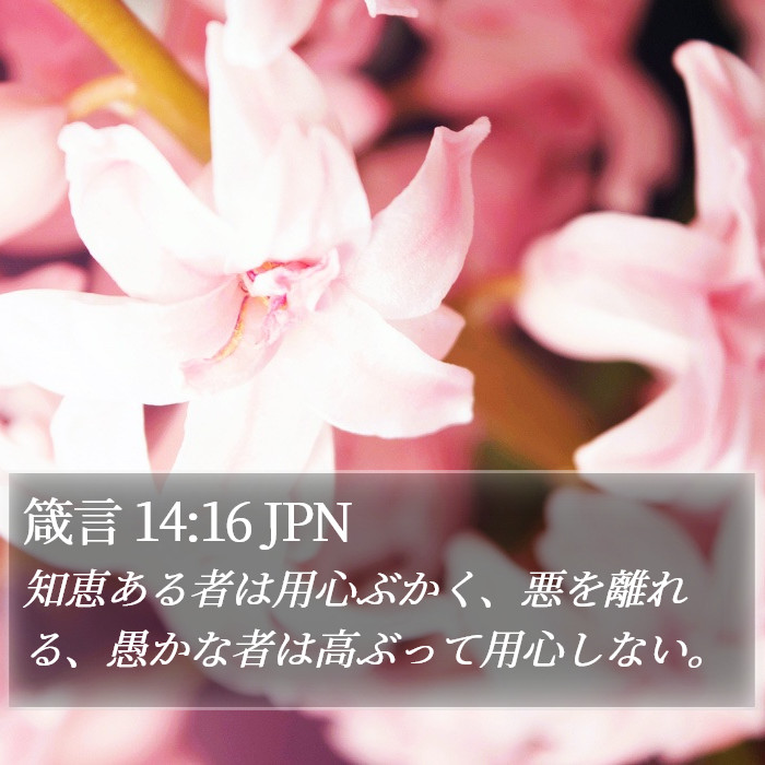 箴言 14:16 JPN Bible Study