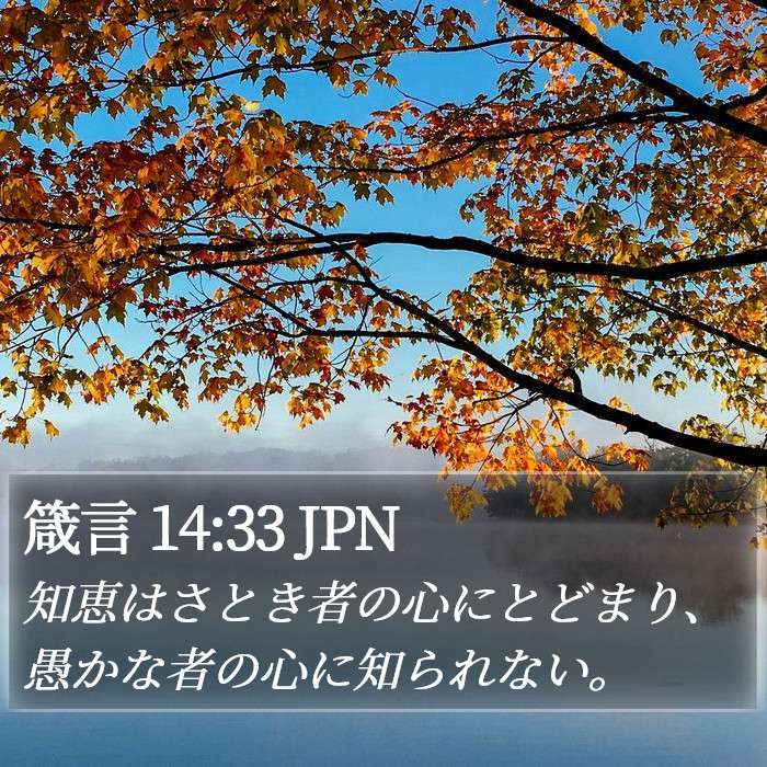 箴言 14:33 JPN Bible Study