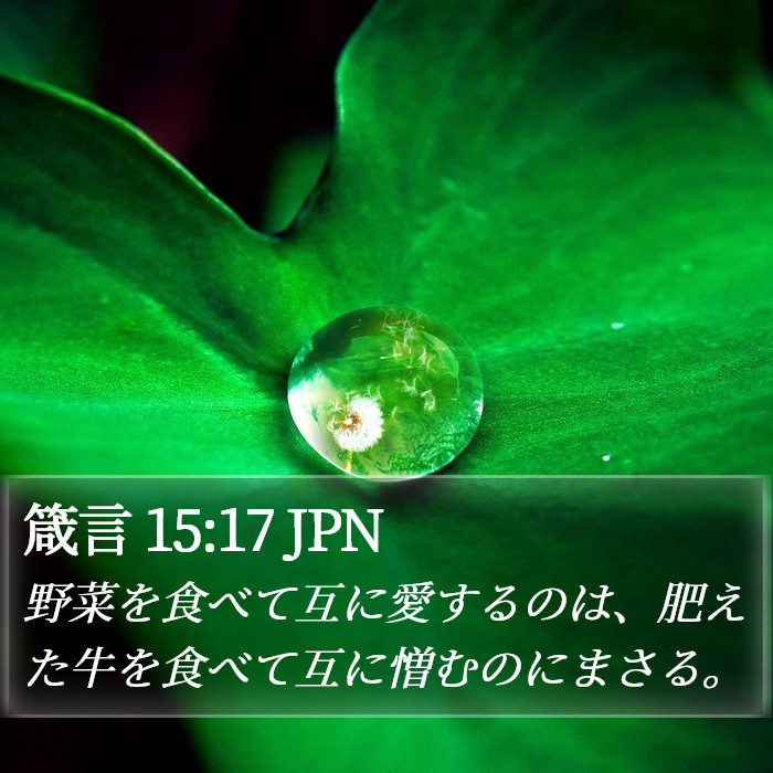 箴言 15:17 JPN Bible Study