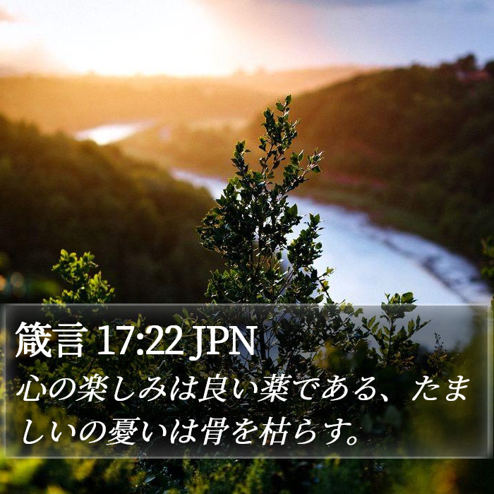 箴言 17:22 JPN Bible Study