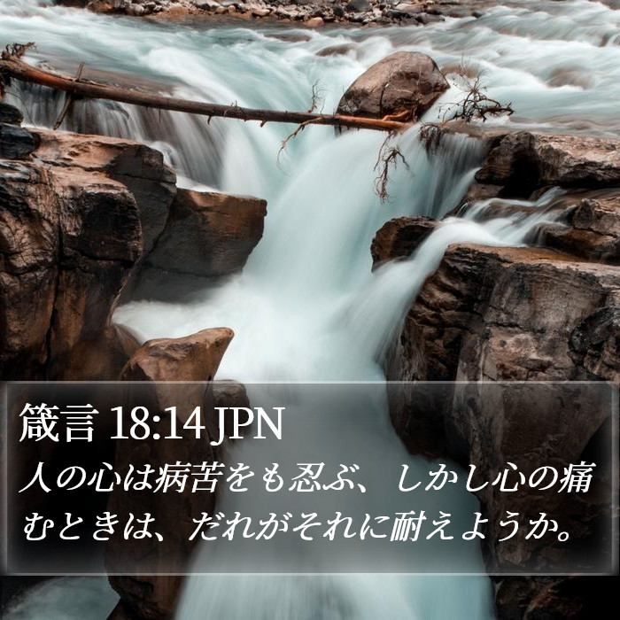 箴言 18:14 JPN Bible Study