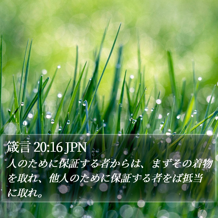 箴言 20:16 JPN Bible Study