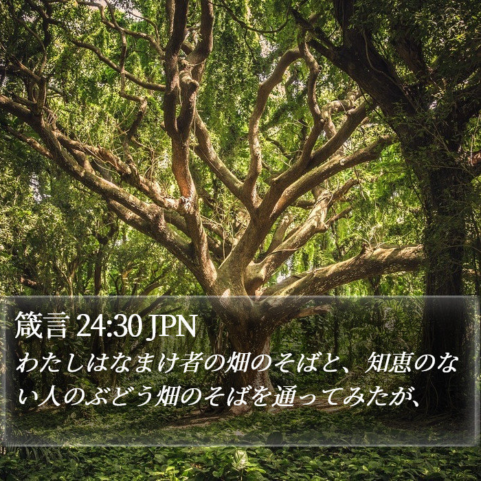 箴言 24:30 JPN Bible Study