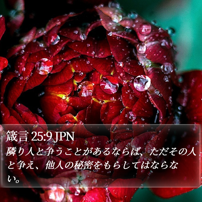 箴言 25:9 JPN Bible Study