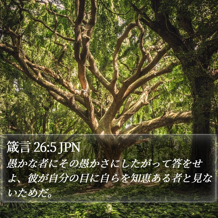 箴言 26:5 JPN Bible Study