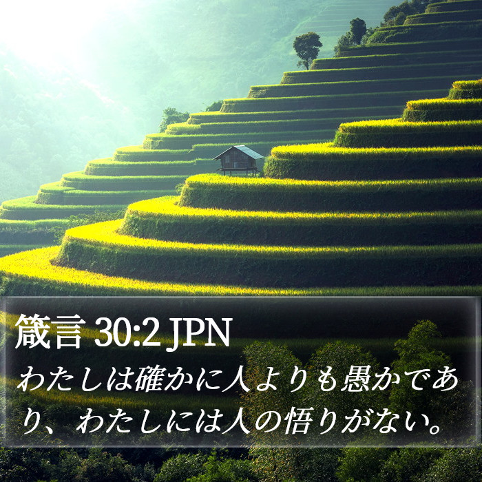 箴言 30:2 JPN Bible Study