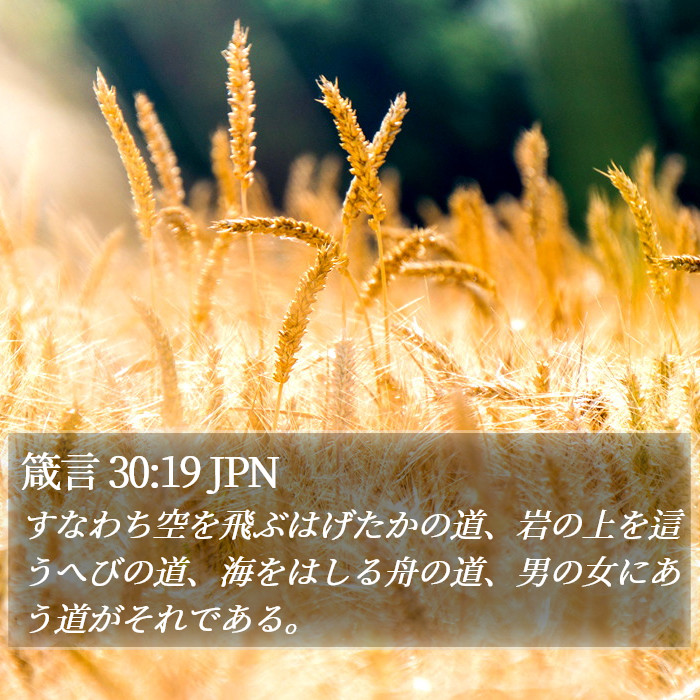 箴言 30:19 JPN Bible Study