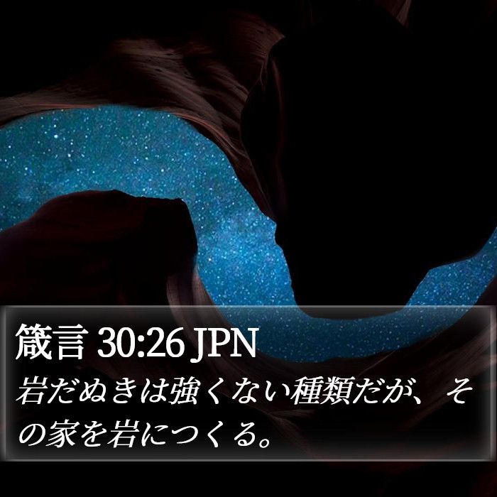 箴言 30:26 JPN Bible Study